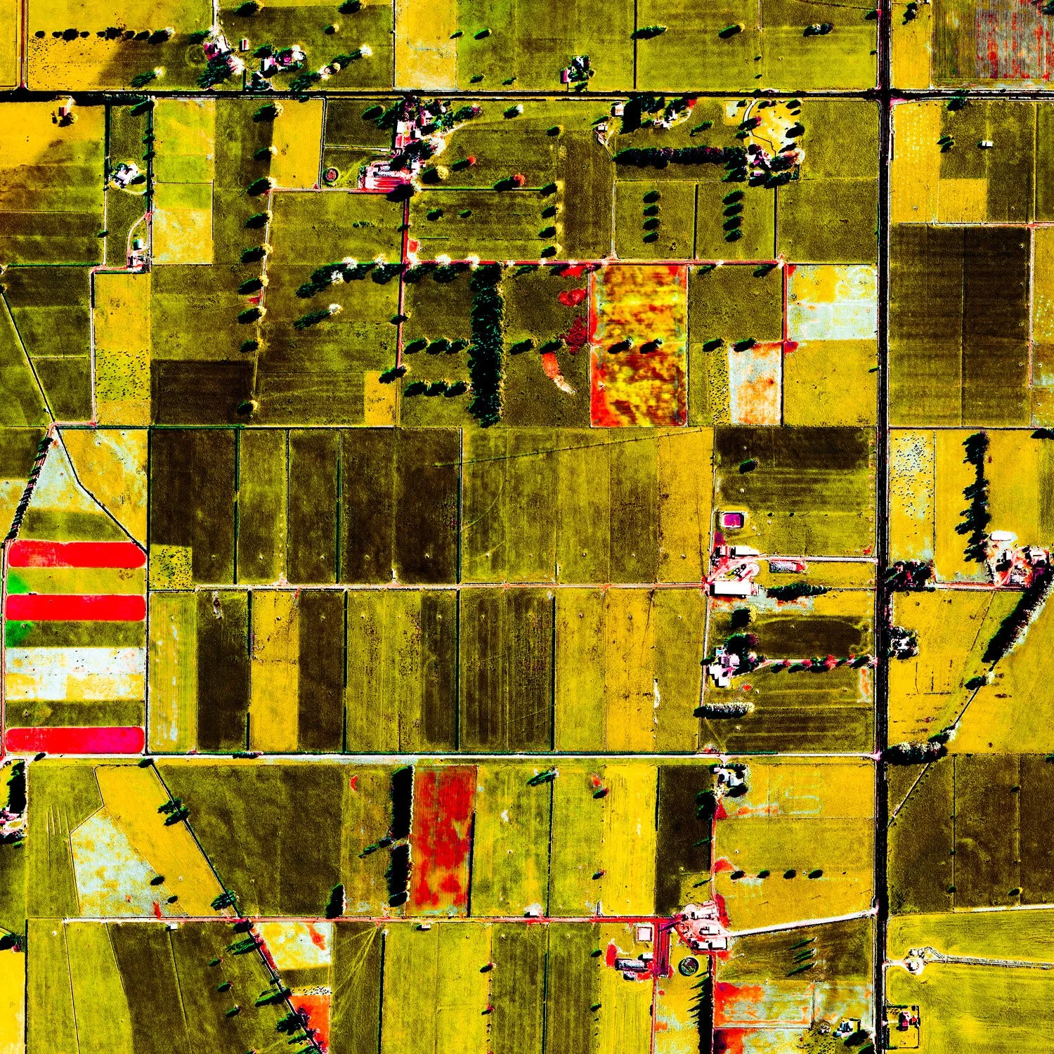Aerial view of a patchwork of agricultural fields in different shades of green, yellow, and brown, separated by roads and irrigation channels, with scattered trees and farm buildings.