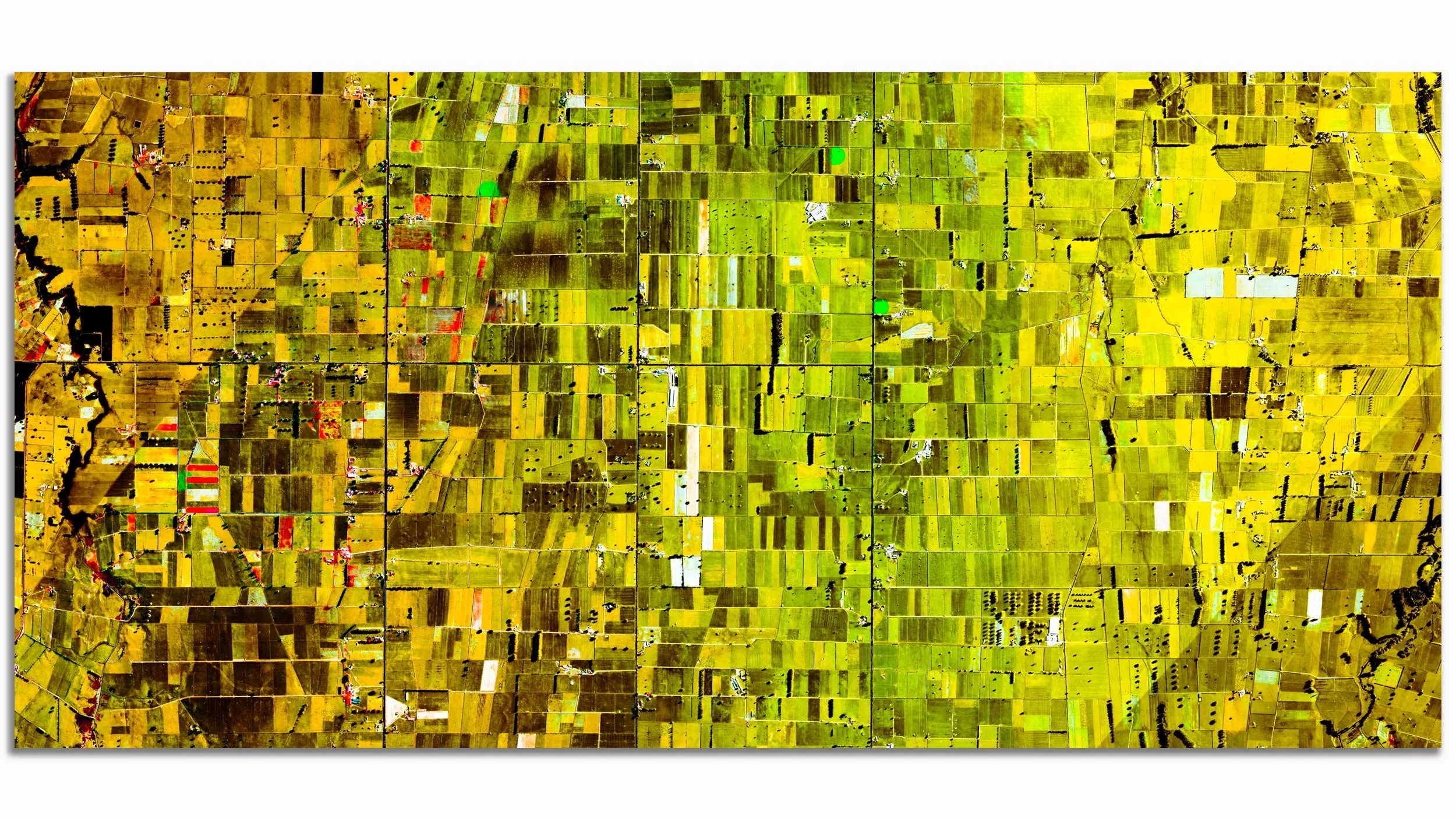 MORRINSVILLE (Waikato, New Zealand) - Ultradistancia Fields Series