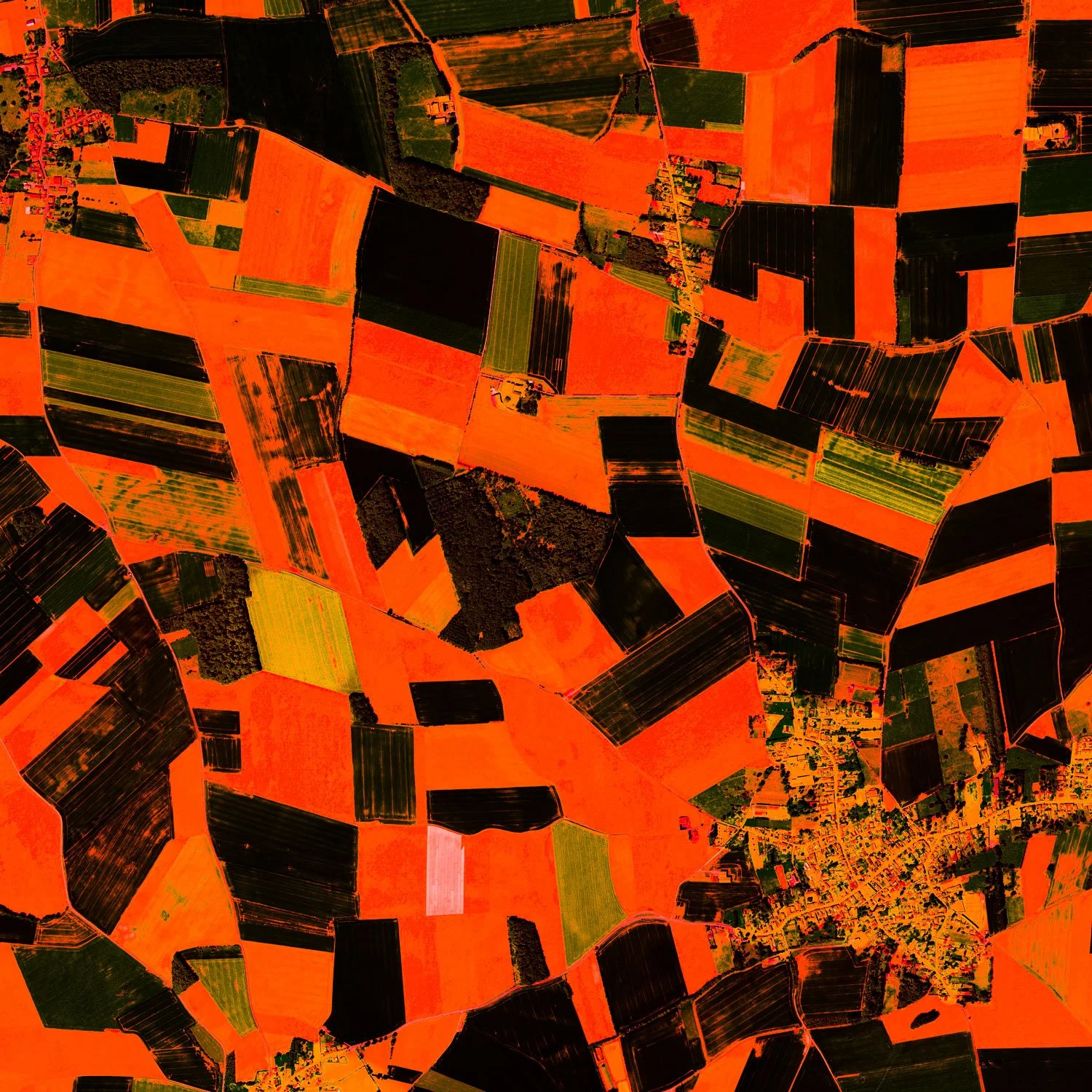 This detail of Pas de Calais by Federico Winer is a satellite fine art work from the Ultradistancia series, transforming agricultural land into a vivid abstract composition of color, geometry, and territory.