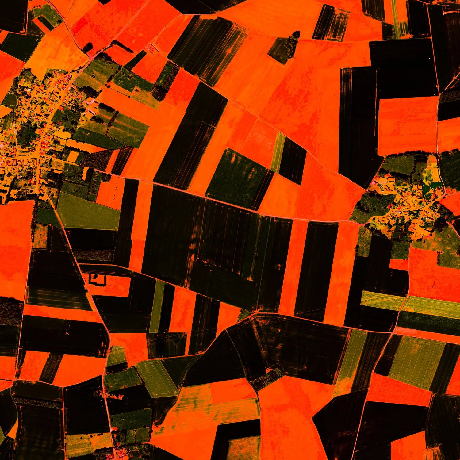 Ultradistancia Pas de Calais by Federico Winer installed above a curved sofa in a contemporary interior, showing a panoramic satellite artwork with vivid red and dark agricultural patterns.