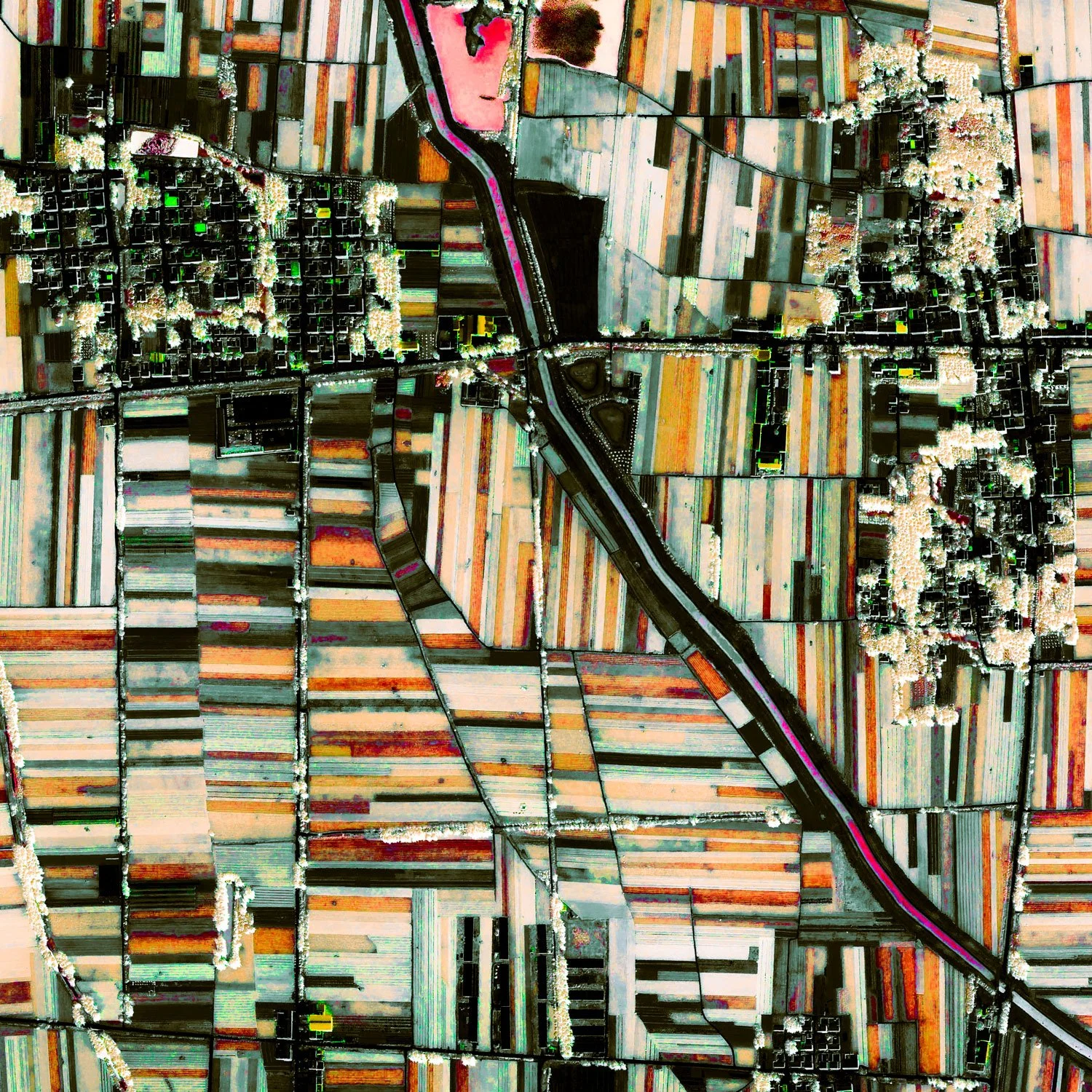 Aerial view of farmland with rows of colorful crops and patches of trees, with a road running diagonally through the landscape.