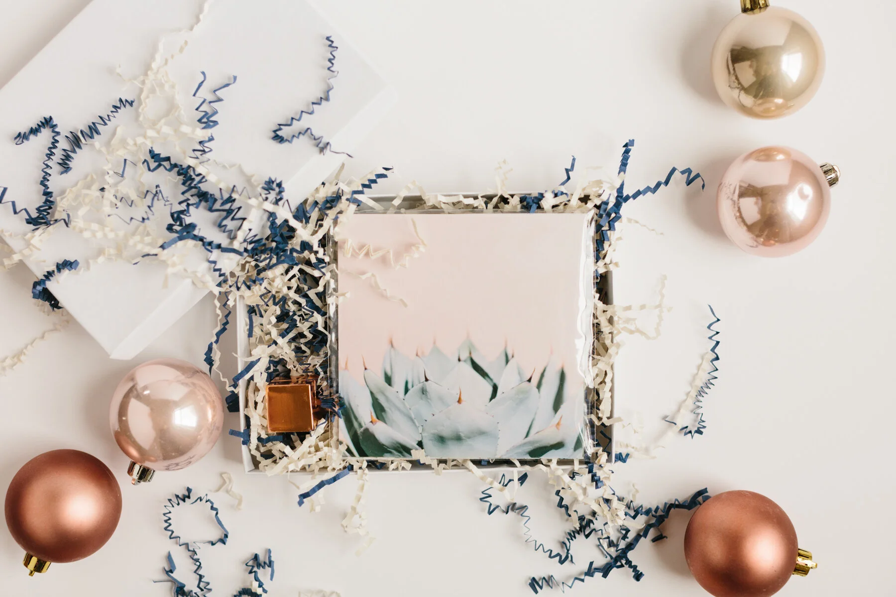 Cactus Print Gift Sets in the Shop For Christmas!