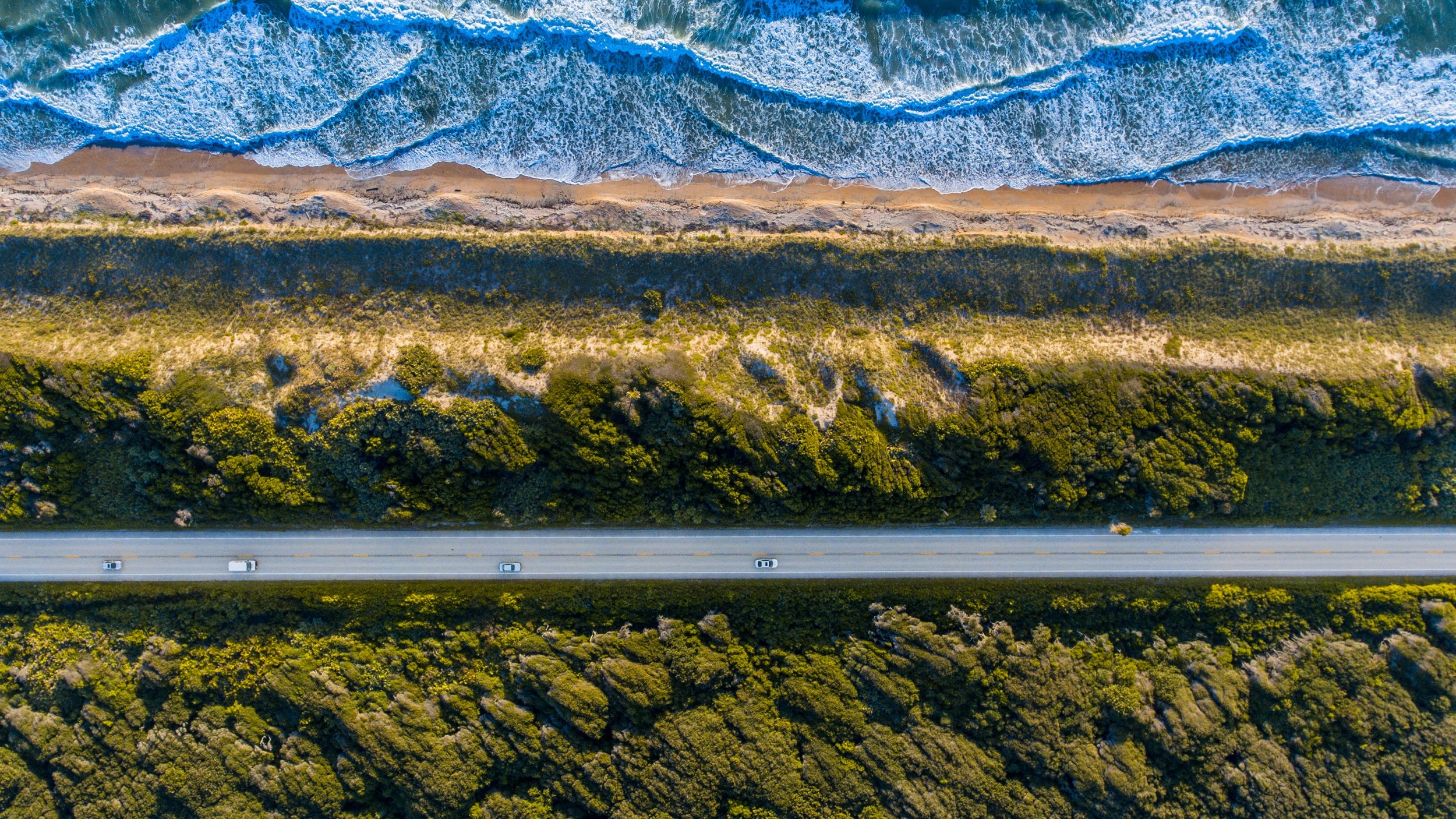 lance-asper-qVMqF_DL1h4-unsplash.jpeg