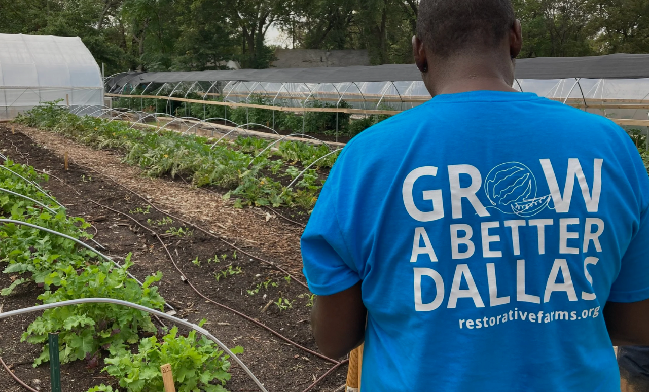 Client Highlight: Restorative Farms