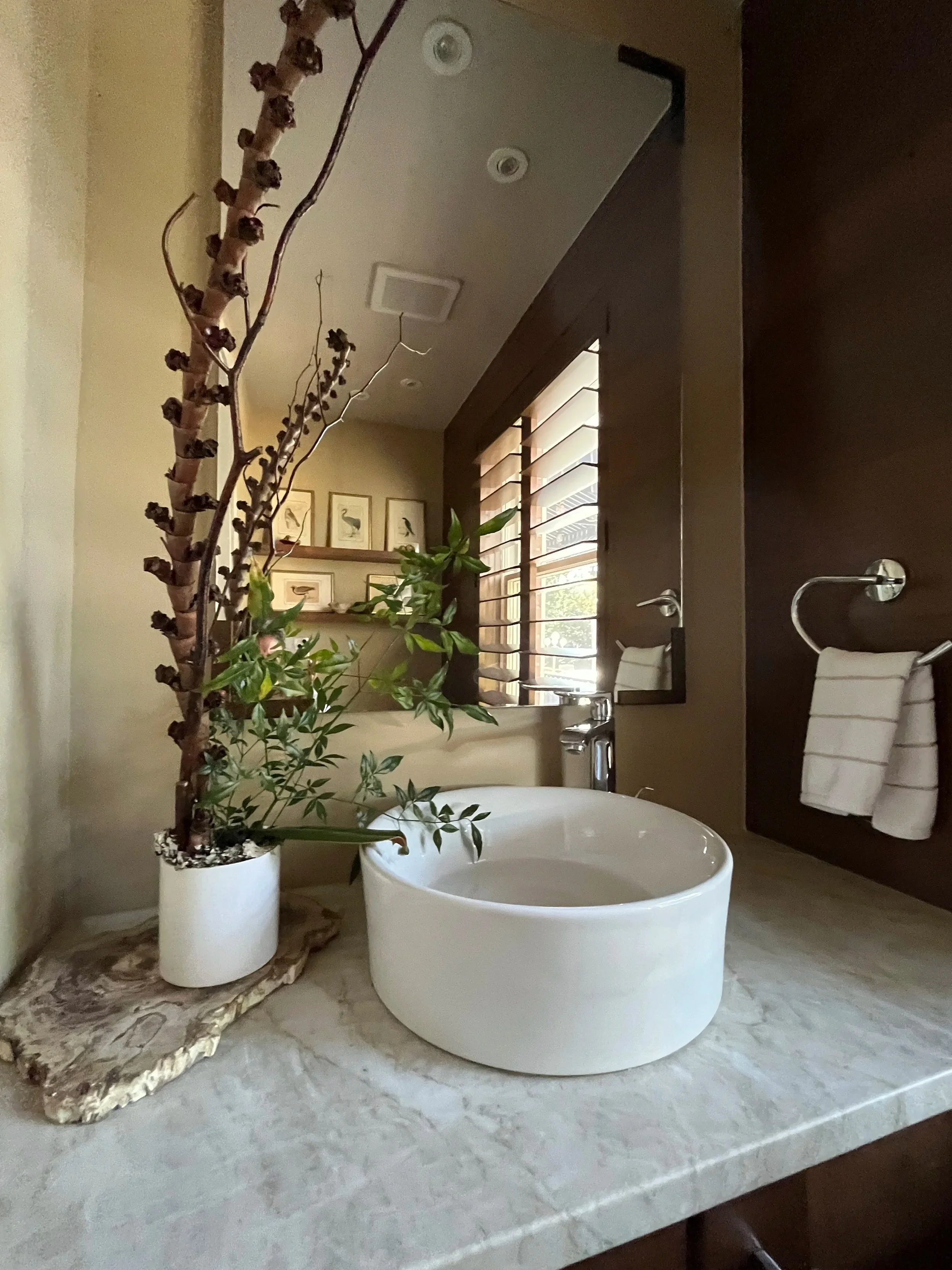 IMG_0357.jpg