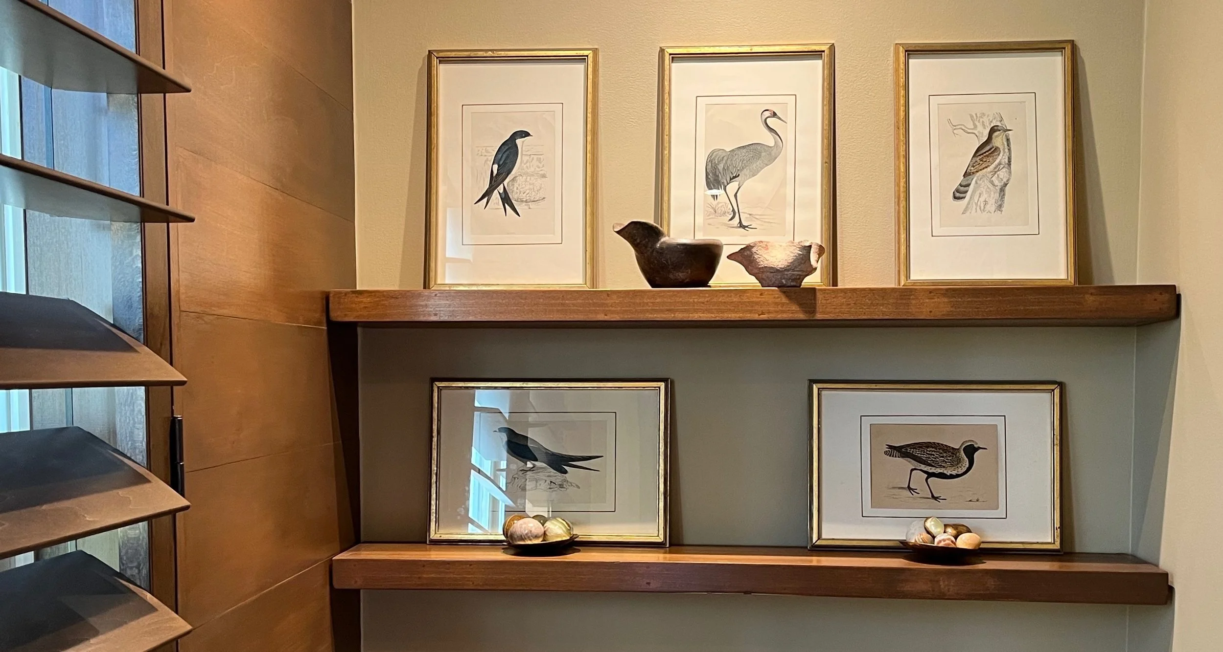 Display of framed bird illustrations on wooden shelves with ceramic bird sculptures and seashells.
