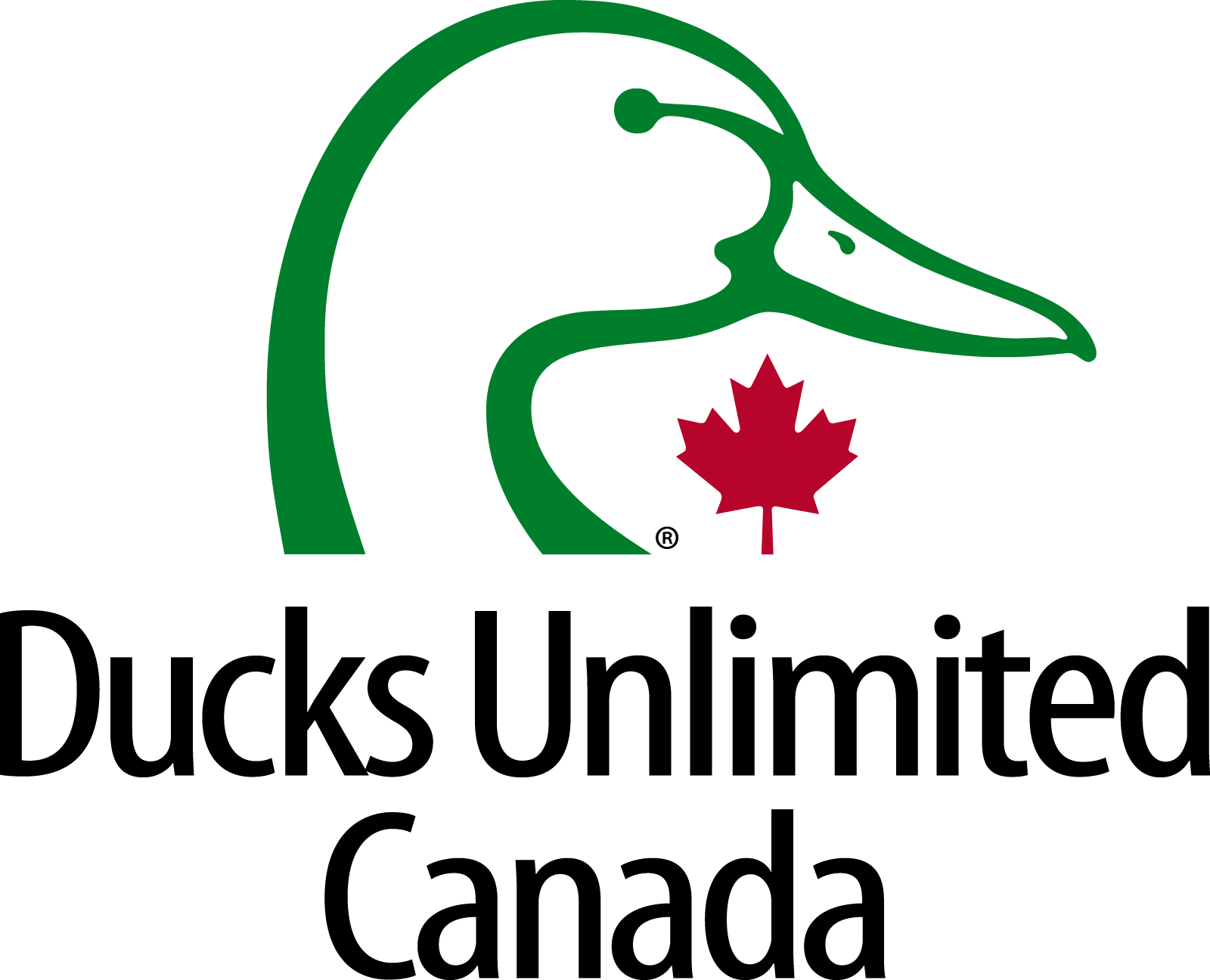 Logo of the Canadian Wildlife Service featuring a stylized green loon with a red maple leaf beneath its beak.