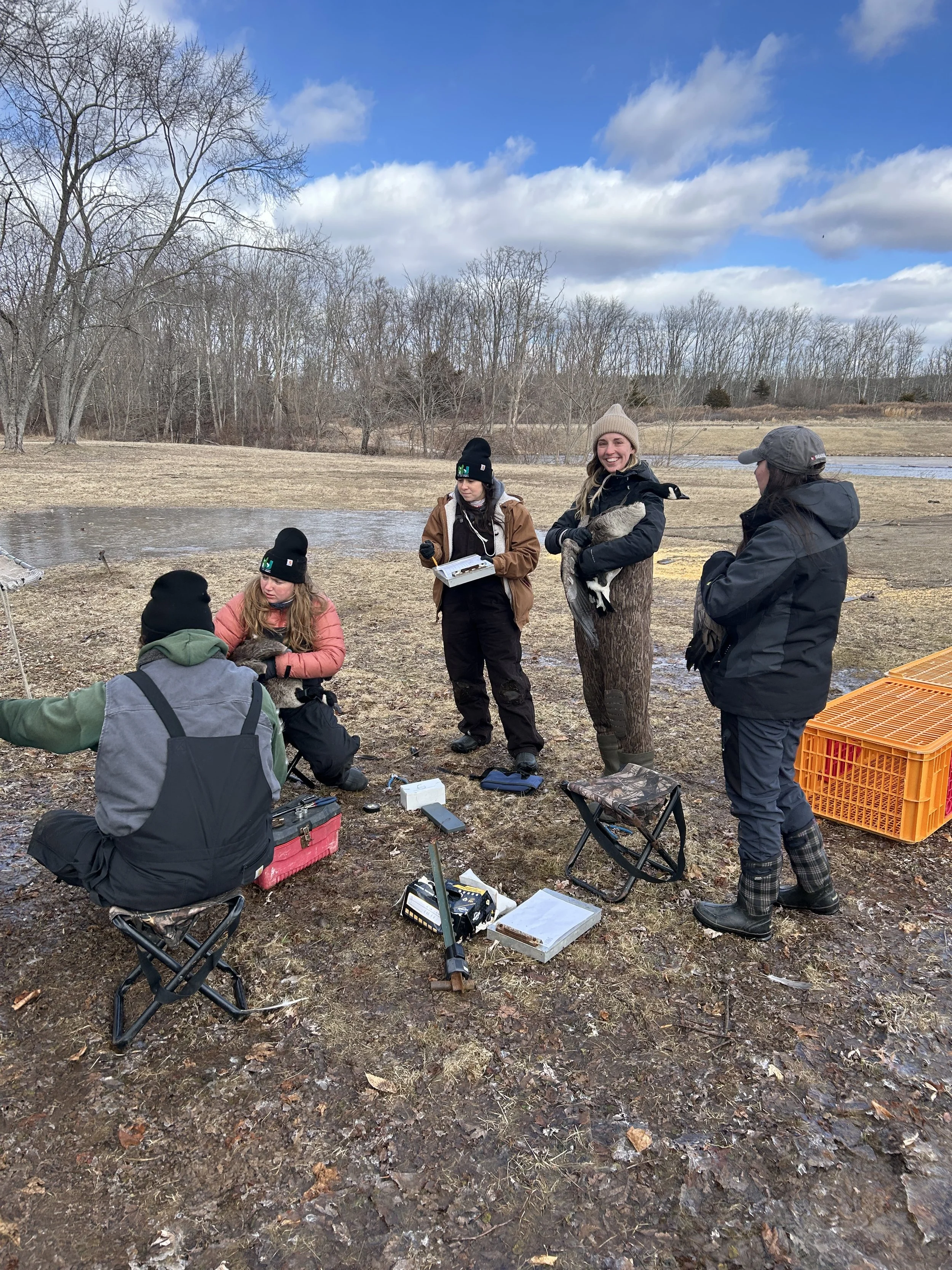 Group of five people conducting field research outdoors near a pond, with scientific equipment, notebooks, and cages for animals.