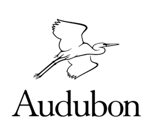 A black and white logo of a flying bird with the word "Audubon" underneath.