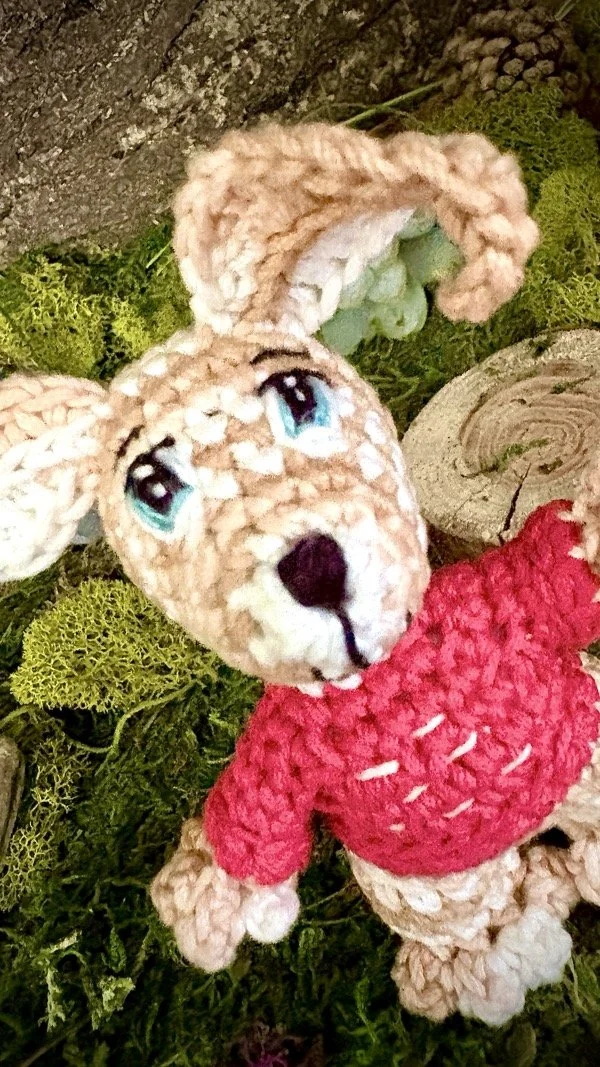 petit_lapin_4.jpeg