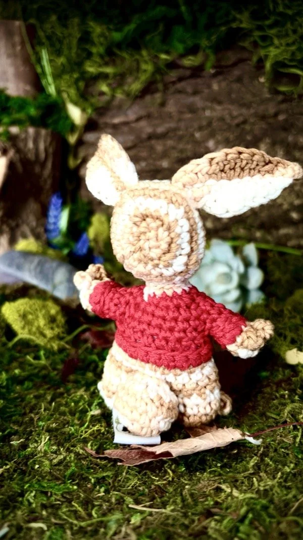 petit_lapin_2.jpeg