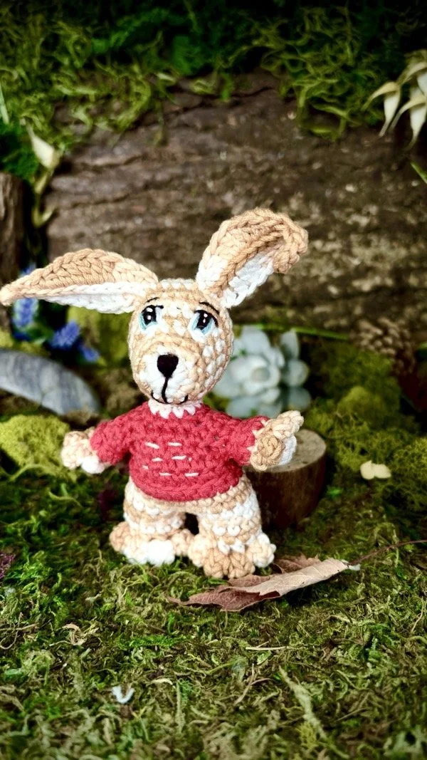 petit_lapin_1.jpeg