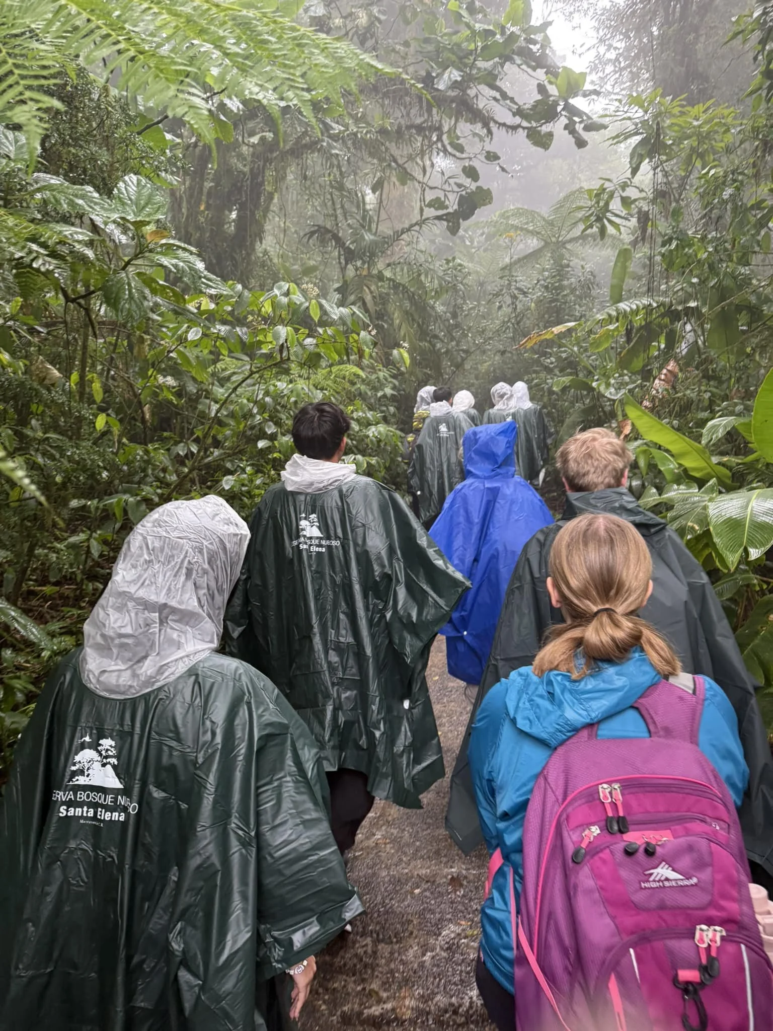 Intro to Monteverde