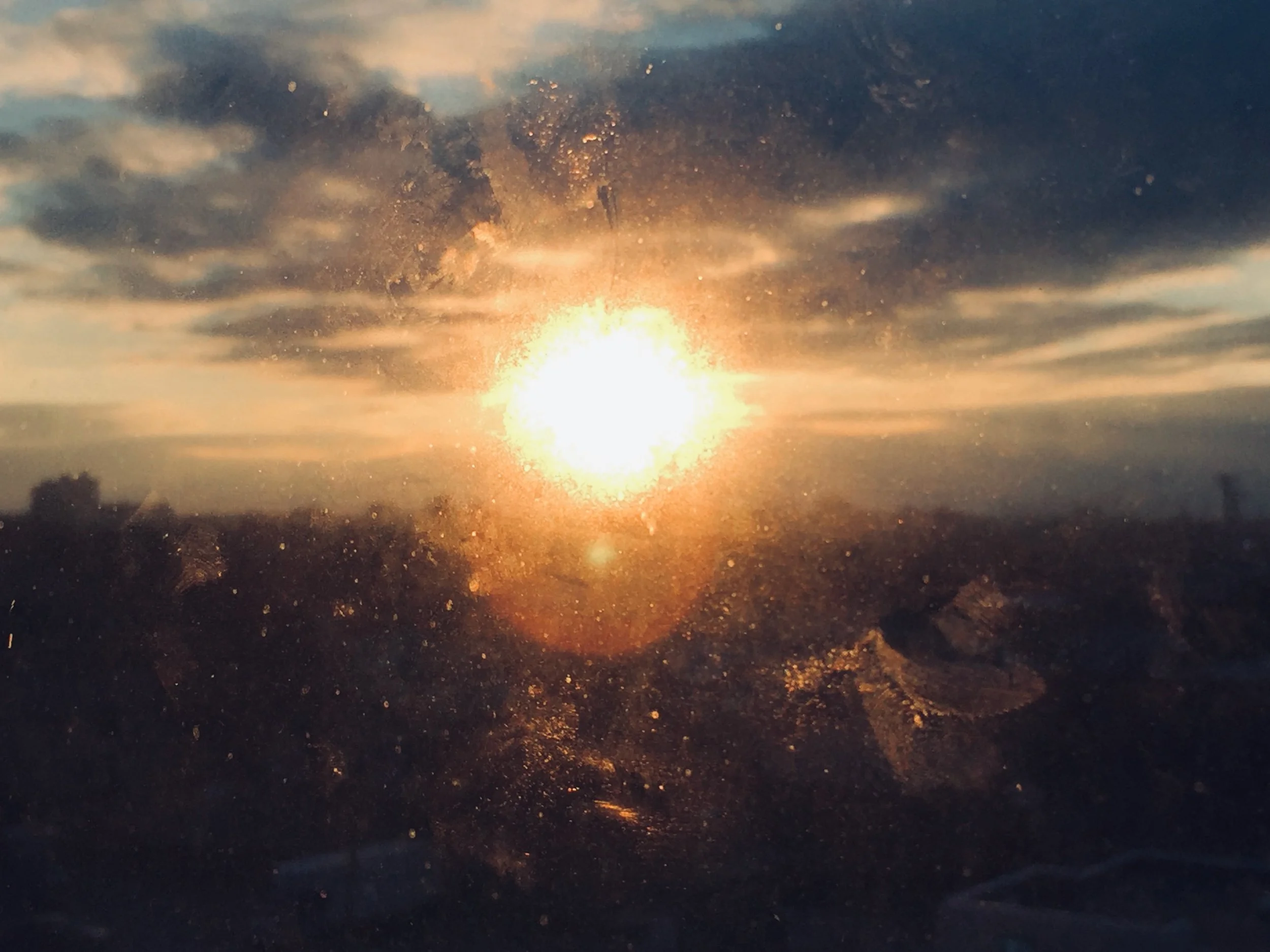 IMG_9043.jpeg