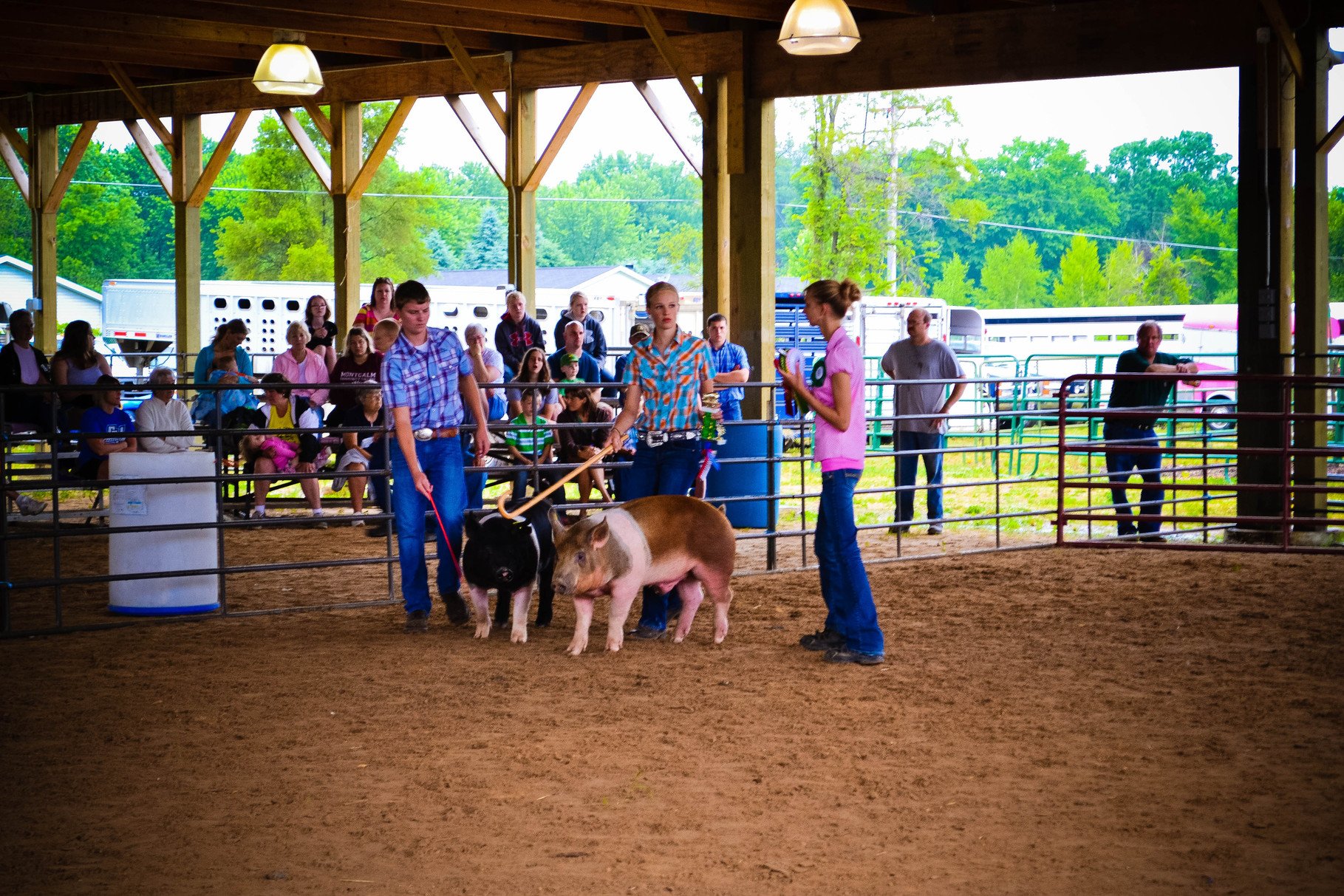 Show Arena Stall Front