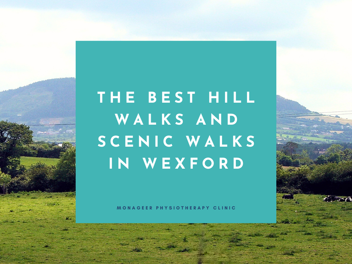The Best Hill Walks and Scenic Walks in Wexford