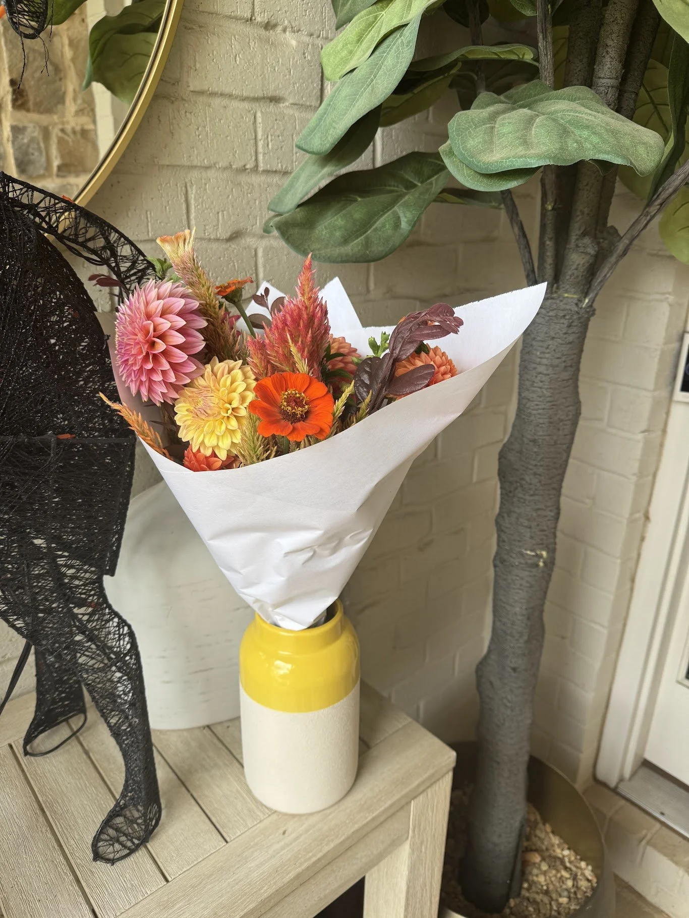 Full Season Bi-Weekly Subscription (14 weeks)