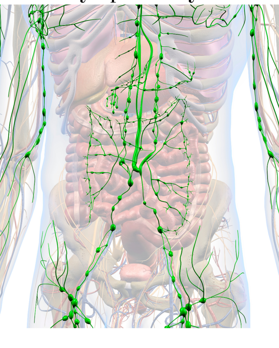 The Straight Facts on Manual Lymphatic Drainage
