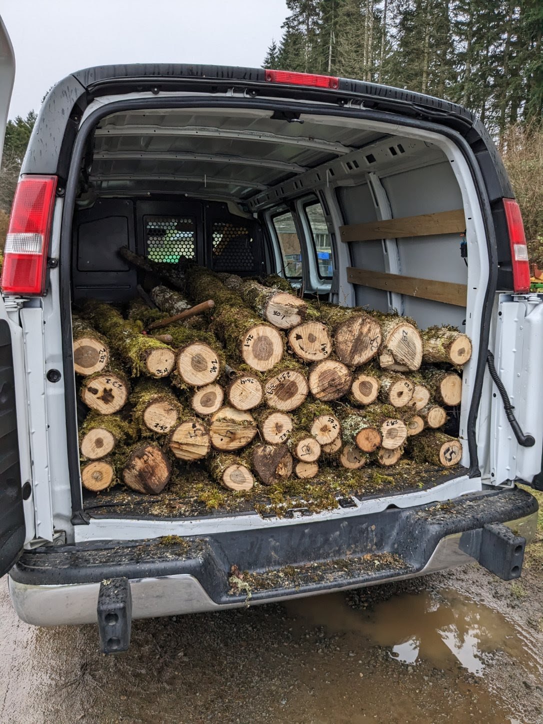 Figure 4. A box van can be a very useful option to transport logs/bolts from one site to another. They can accommodate a tall, heavy cargo load, keep your equipment out of the rain, and, importantly, eliminate the need for tarping to protect logs fro