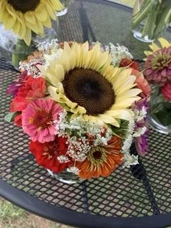 IMG_6764 Small.jpeg