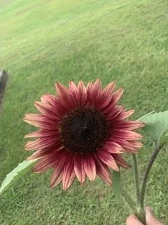IMG_6825 Small.jpeg