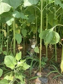 IMG_6692 Small.jpeg