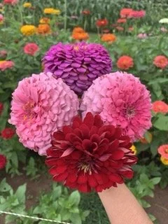 IMG_7136 2 Small.jpeg