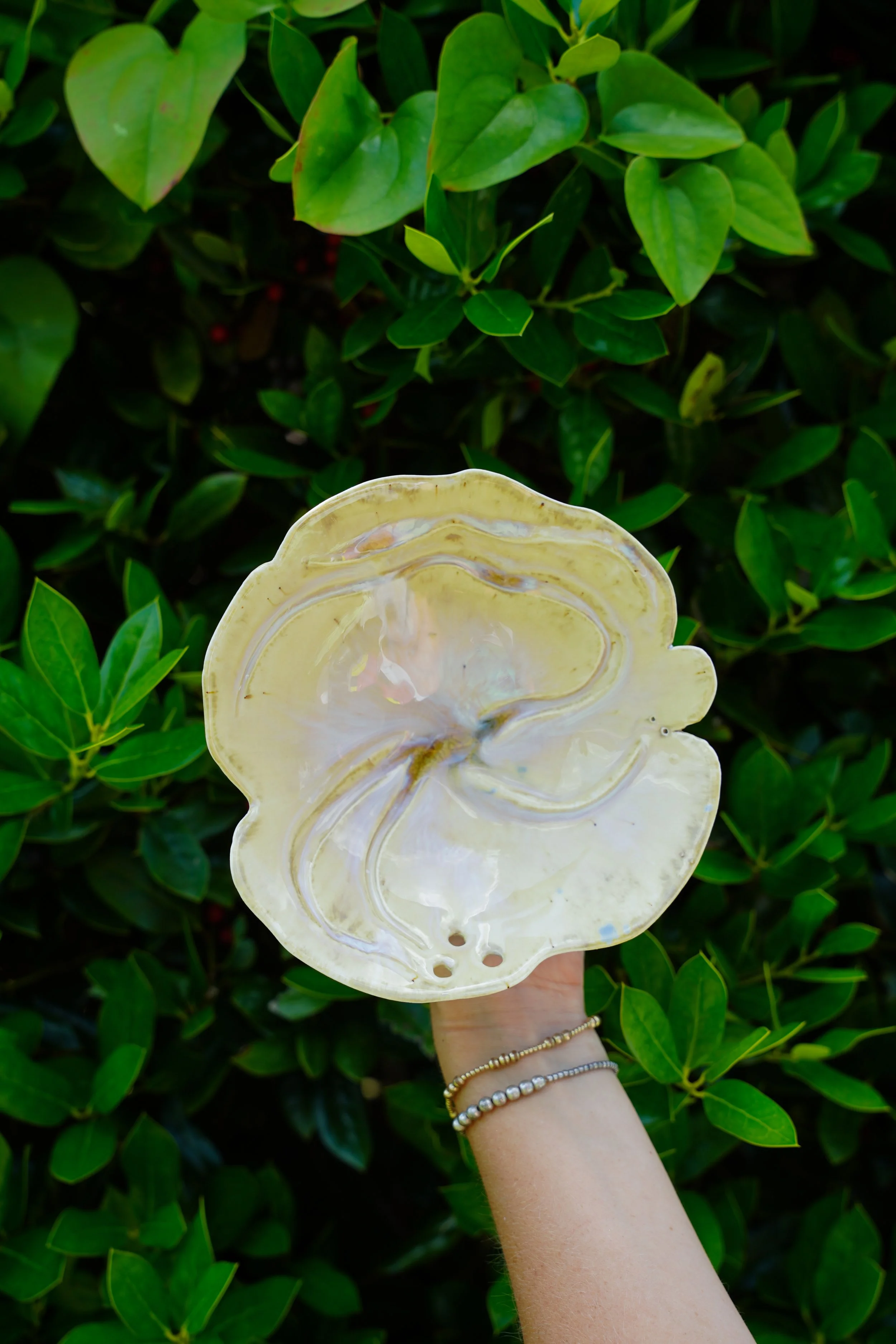 Carved Decorative Plate in Honey Celadon