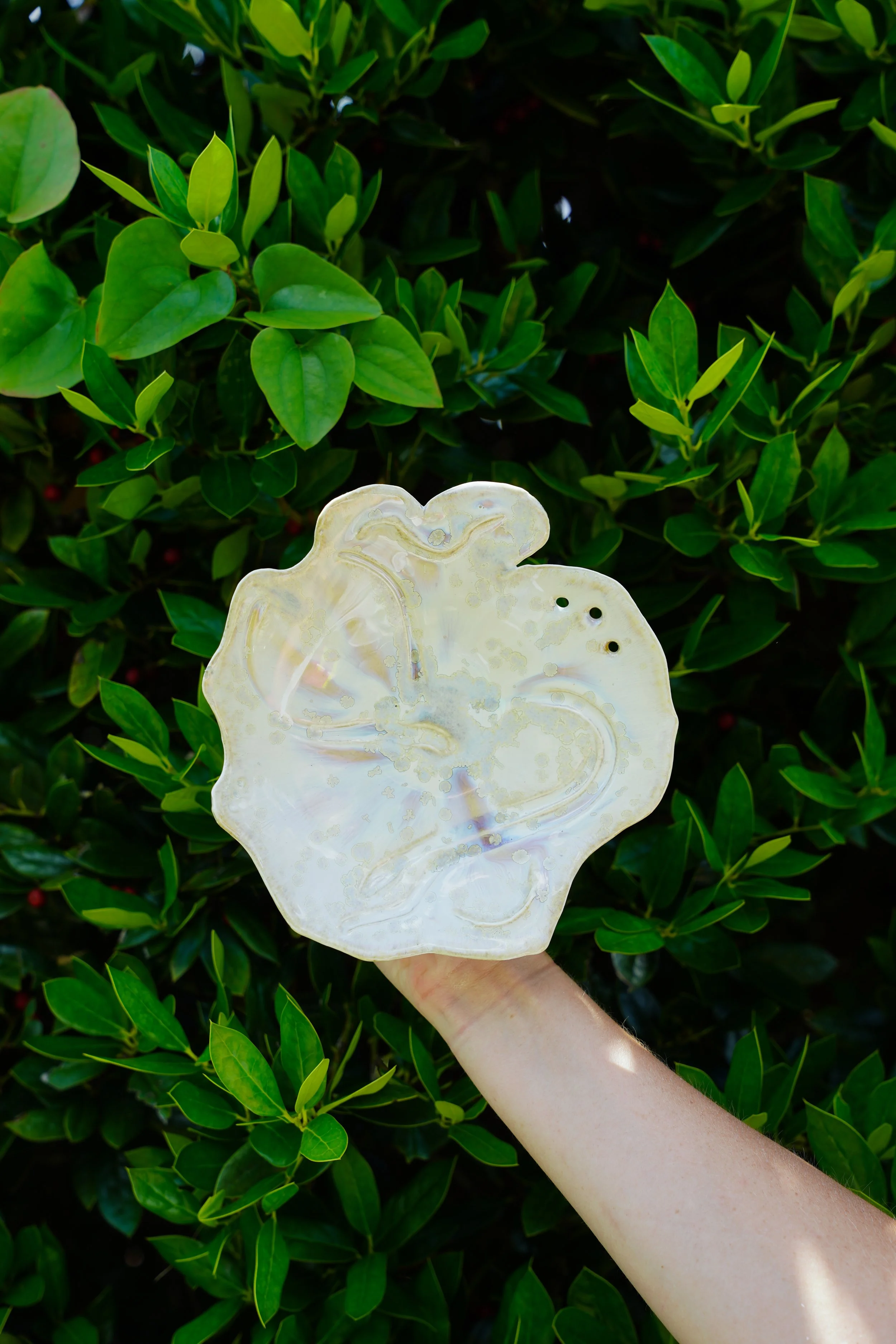 Carved Decorative Plate in Honey Celadon