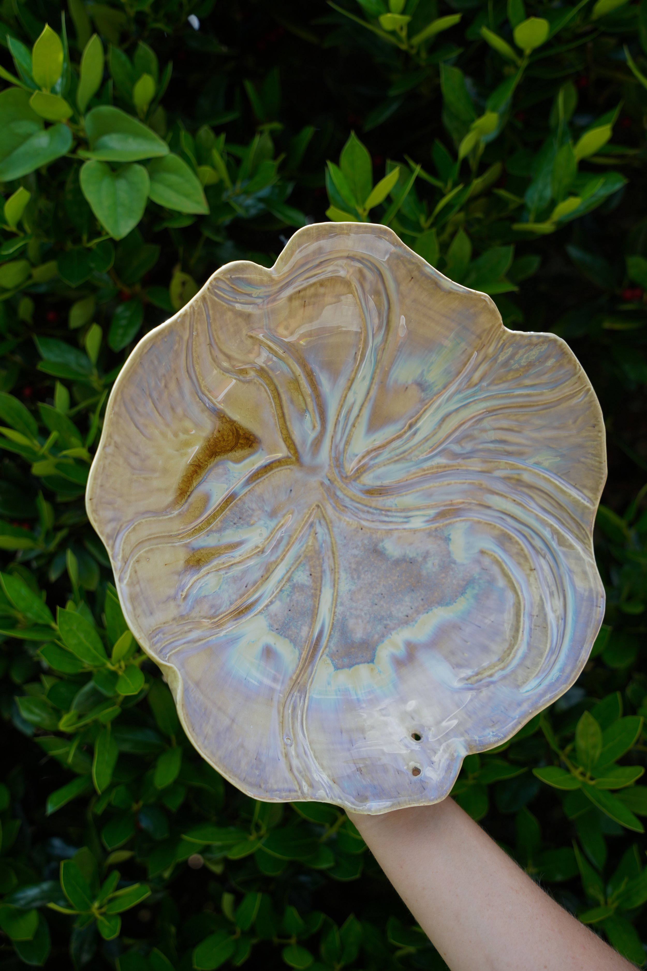 Carved Decorative Plate in Honey Celadon