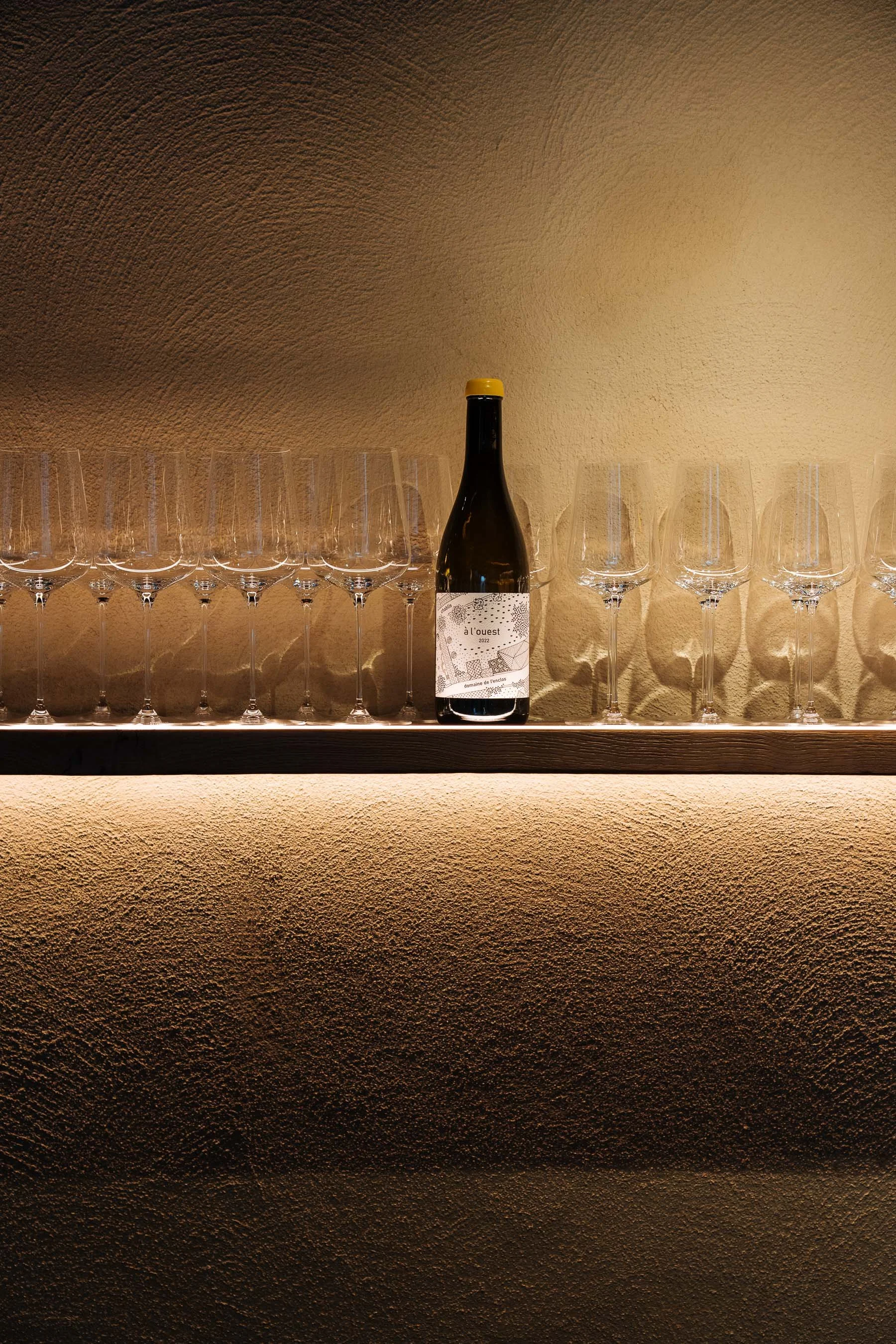 lucie_jan26©Hablar_lr-54 (1).jpg