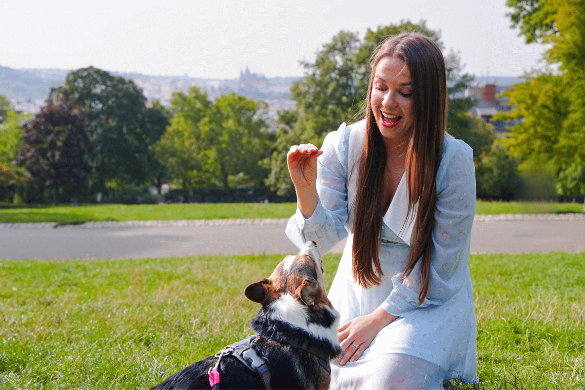 Traveling to Prague With a Dog: Rules, Parks, Transport &amp; Tips