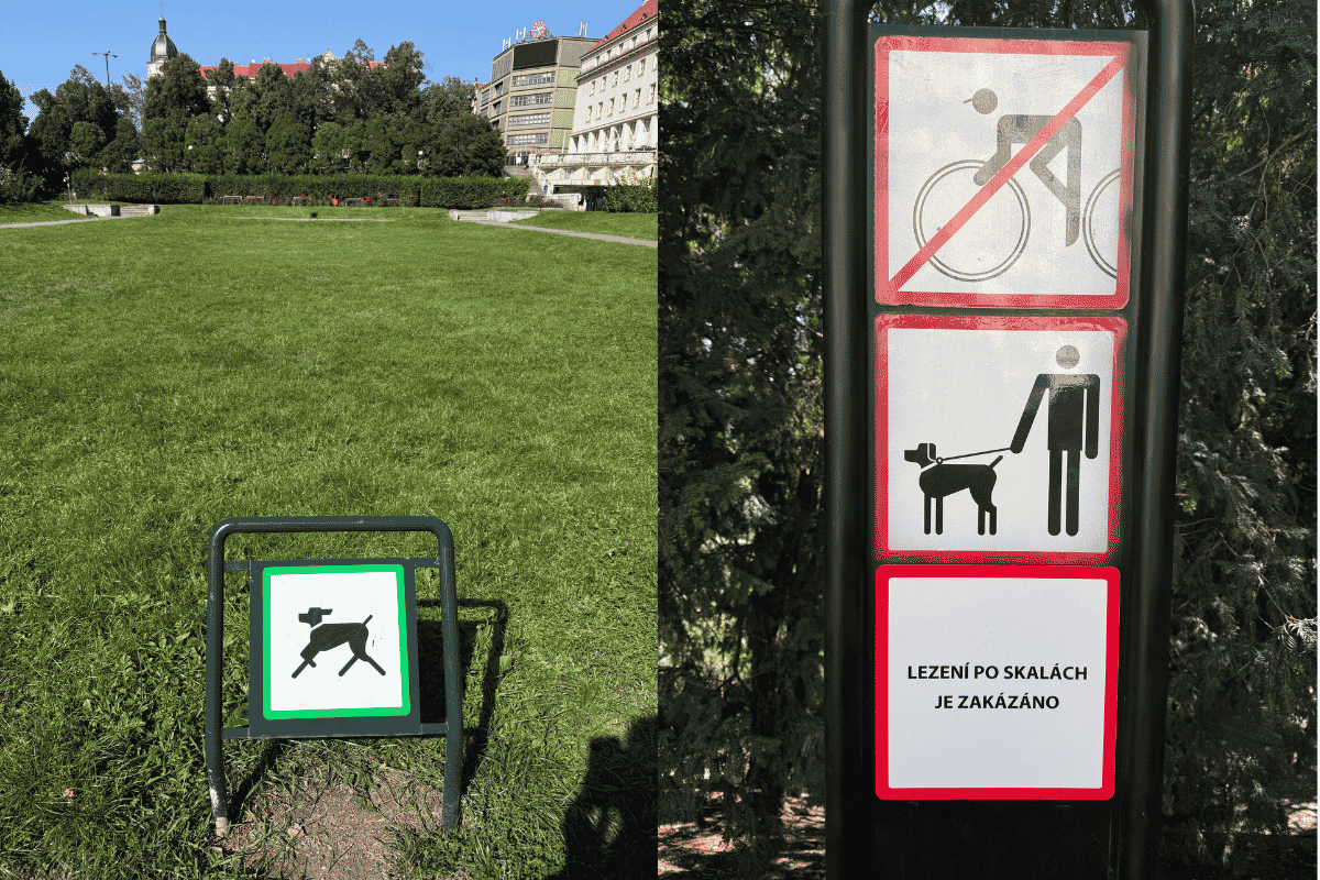 Prague Dog Leash Rules in Public