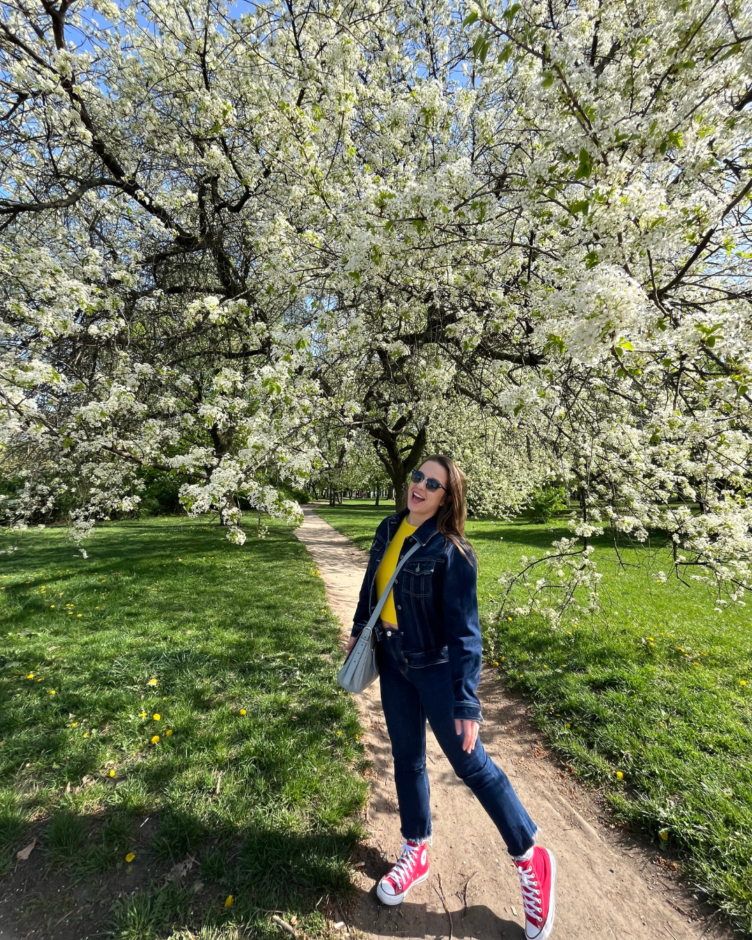 Letná Park blooming trees