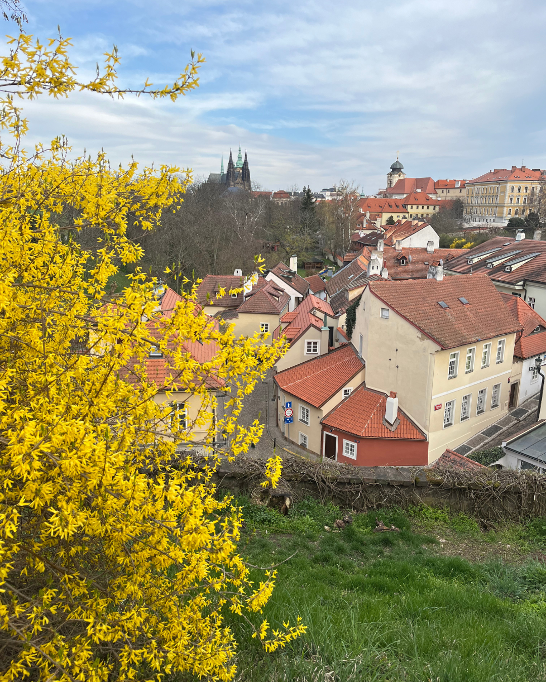Nový Svět Prague