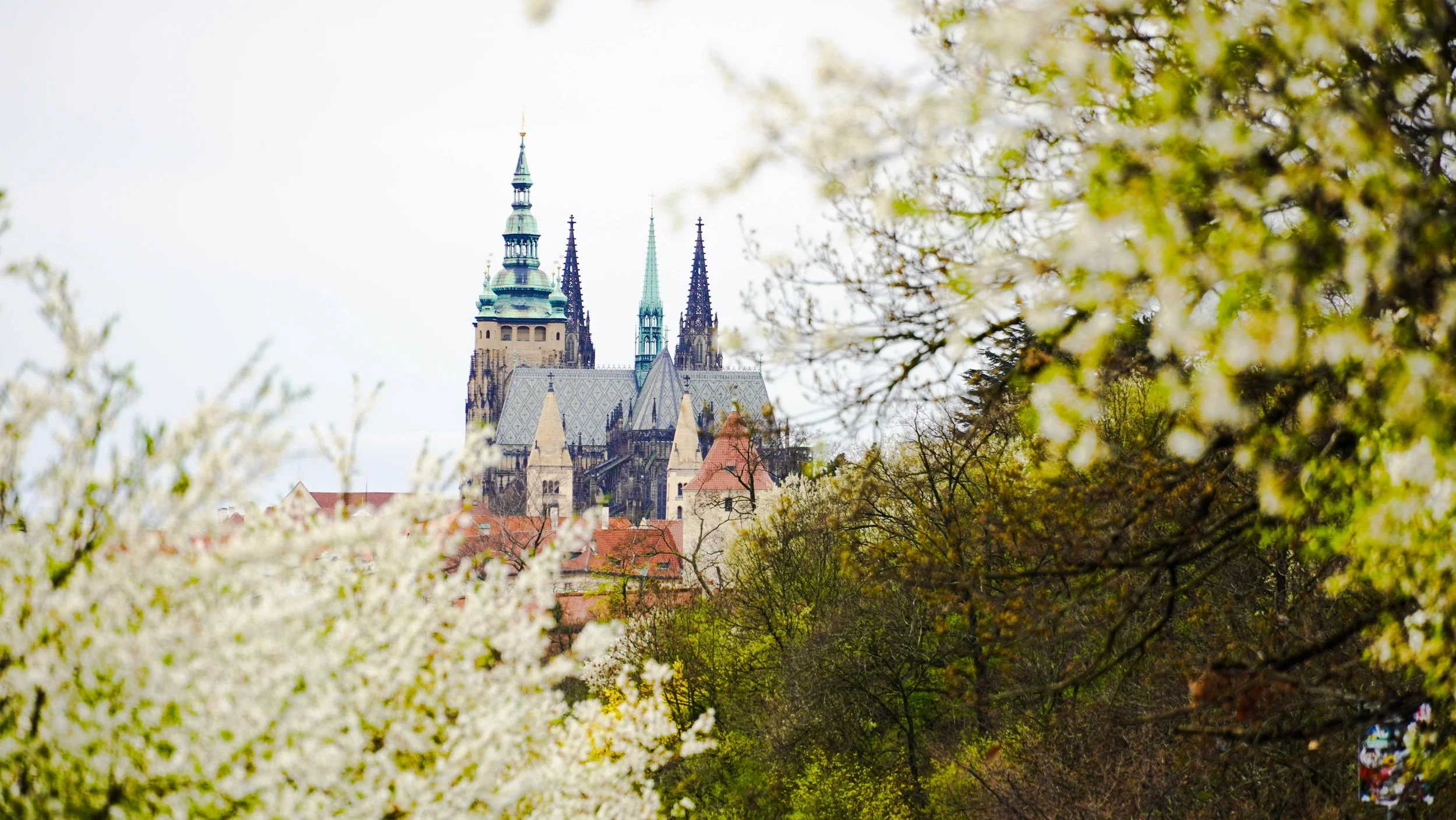 Prague Castle Spring