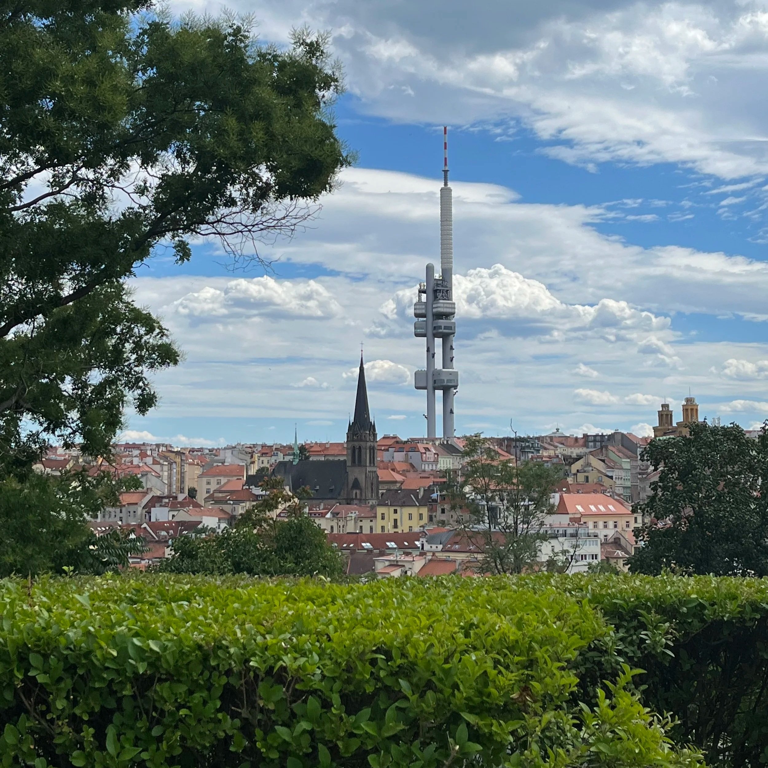 Žižkov