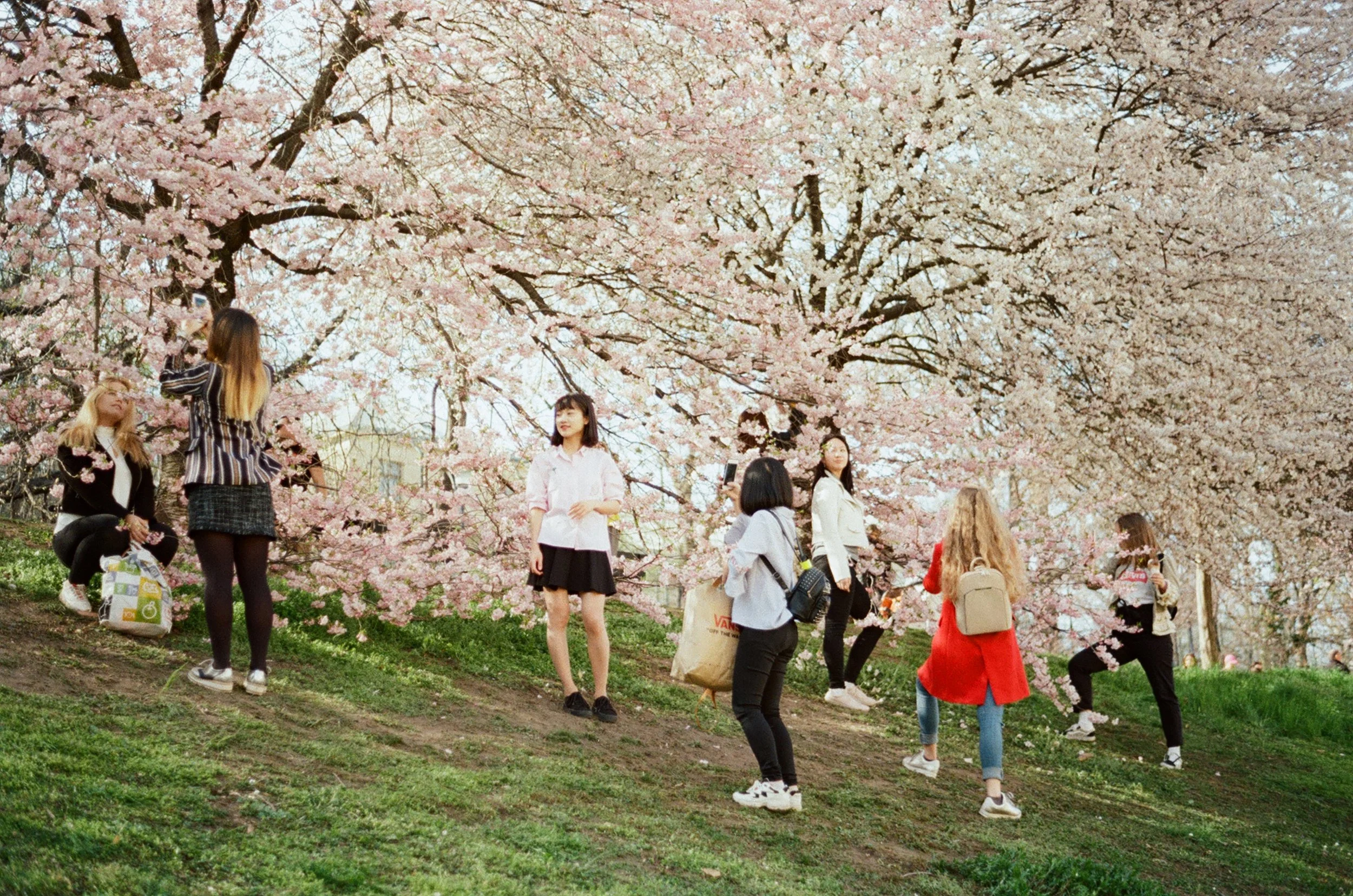 Prague Petřín Hill
