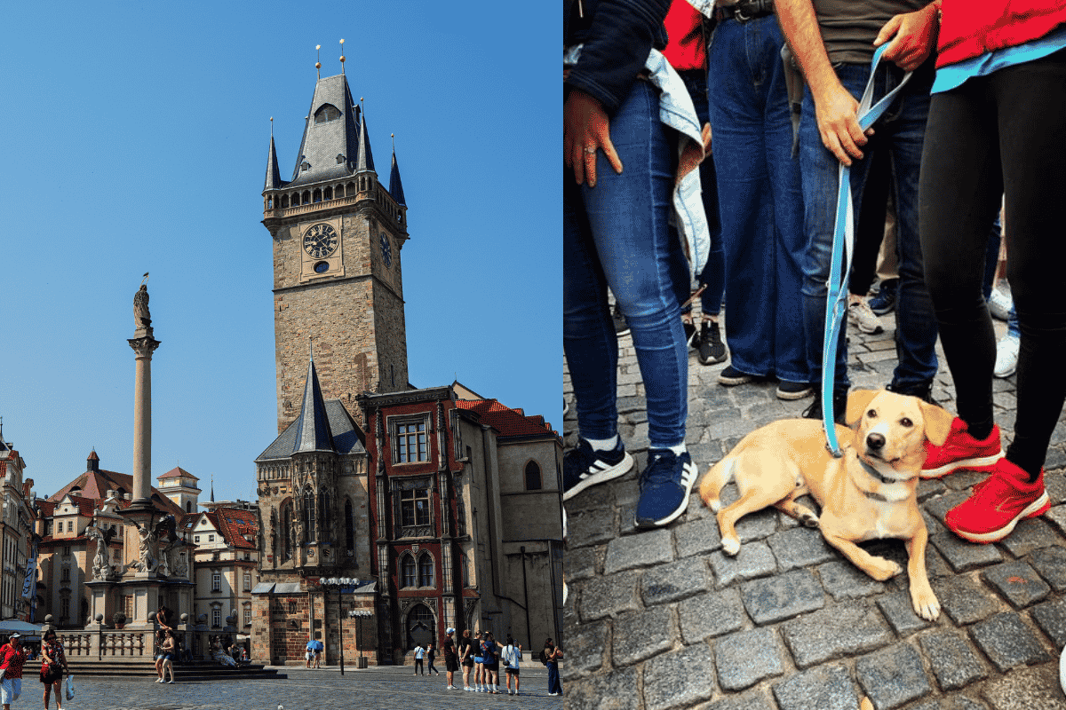 Prague Sightseeing With a Dog