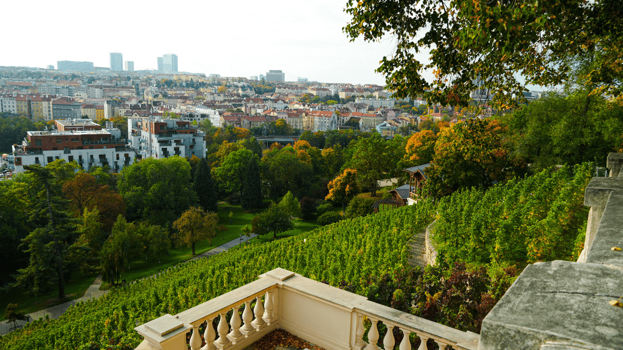 Our Top Vinohrady Hotel Recommendations