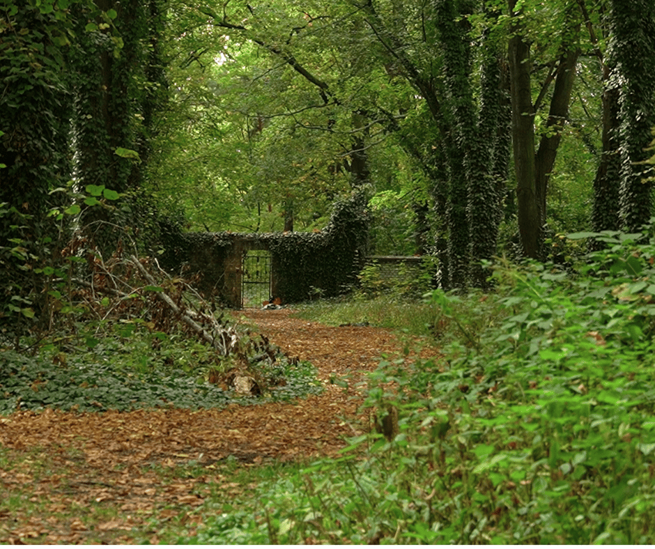 Bohnice Cemetery