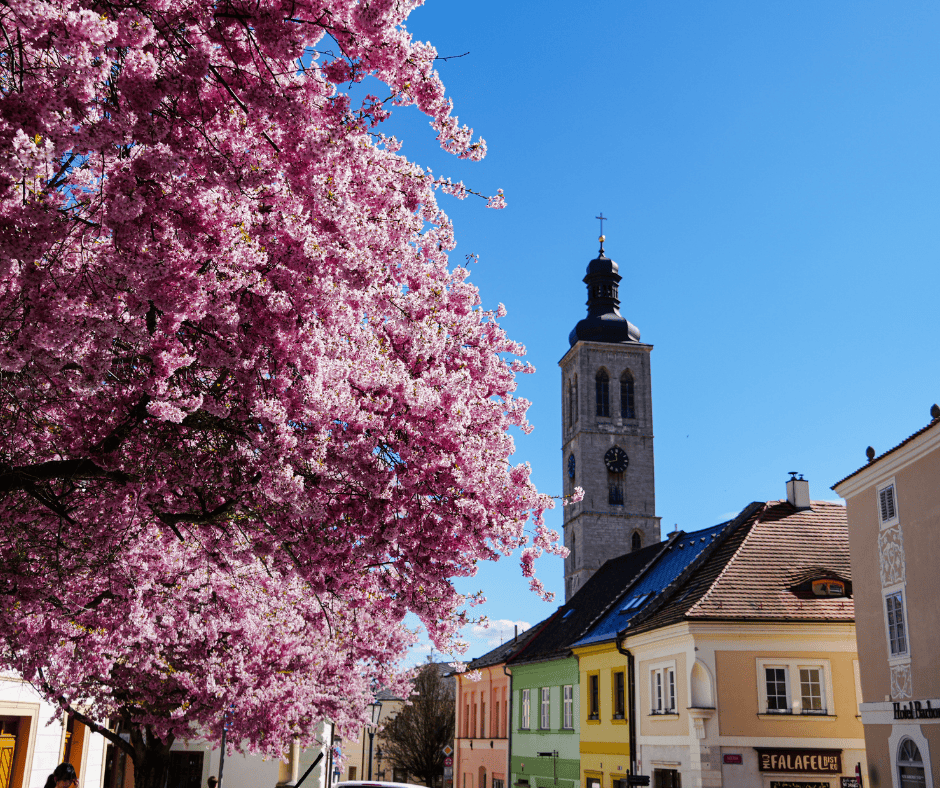 Essential Tips for a Perfect Day Trip from Prague