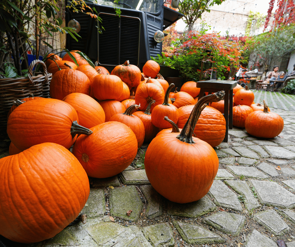 Why Prague Is Perfect for a Halloween Weekend