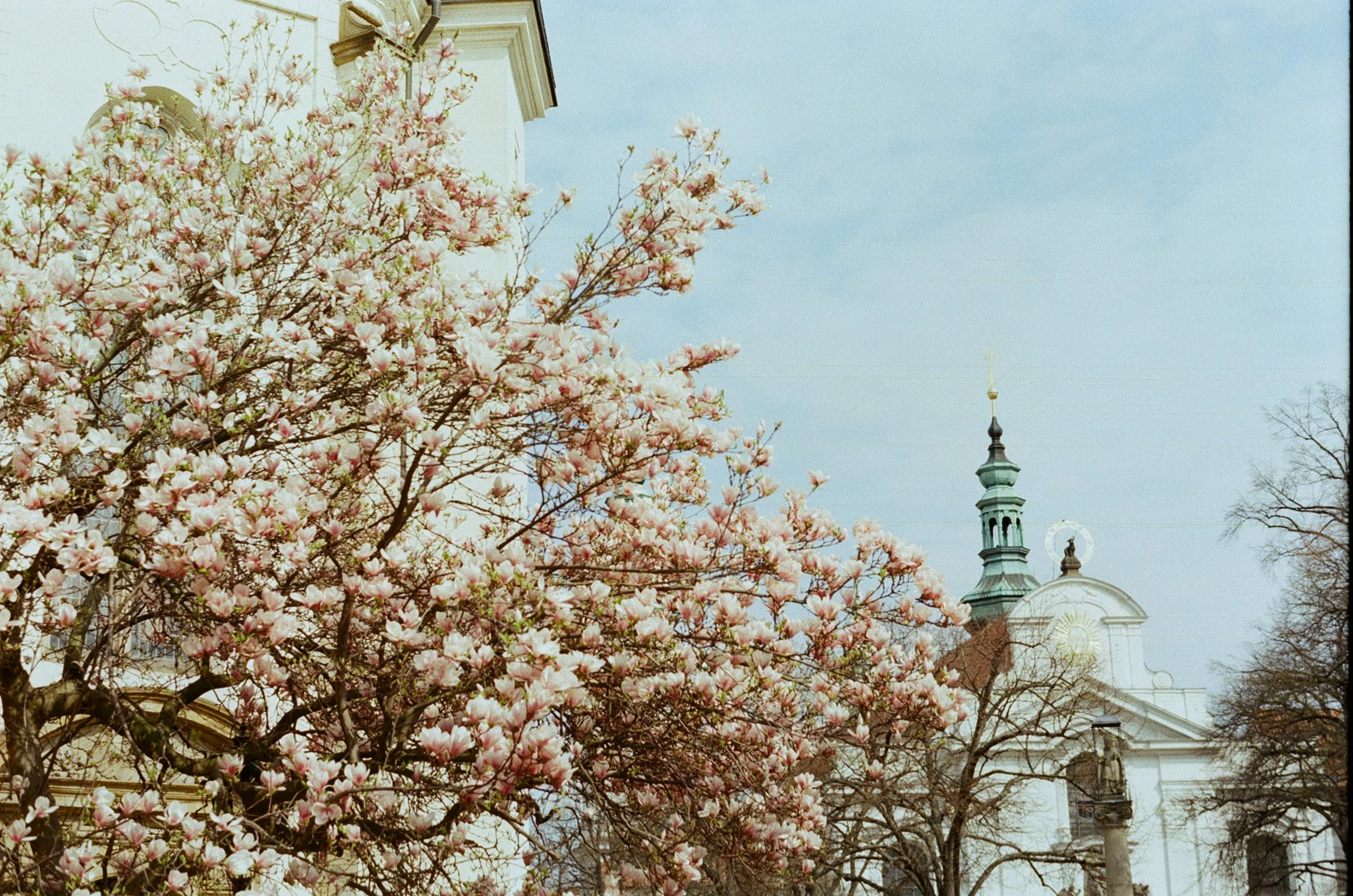 Strahov Monastery in spring