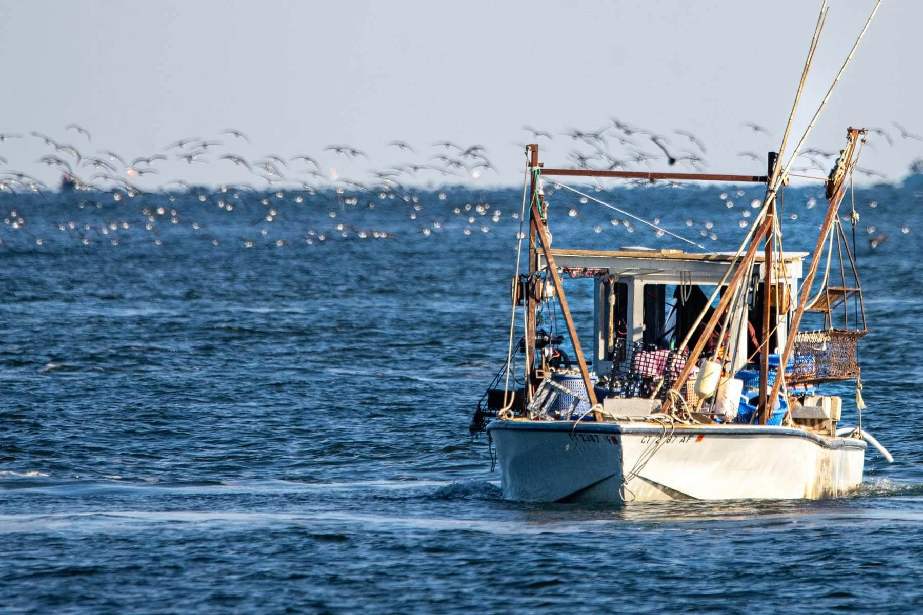 Star Fish Market Order Online and PickUp at the Store