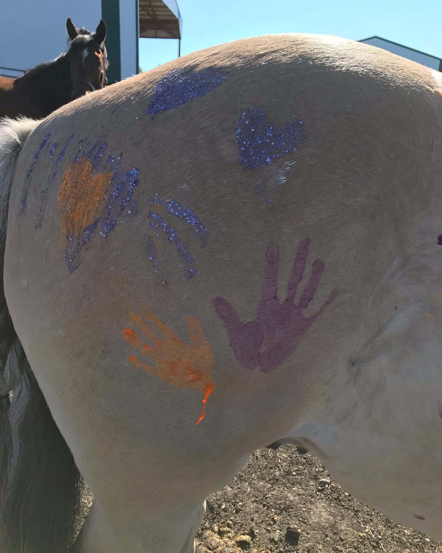 There have been beautiful connections made at our first two 1/2 day camps.  Painting day is always a good opportunity to build trust. Each rider has a beautiful story in their painting and embellishments.