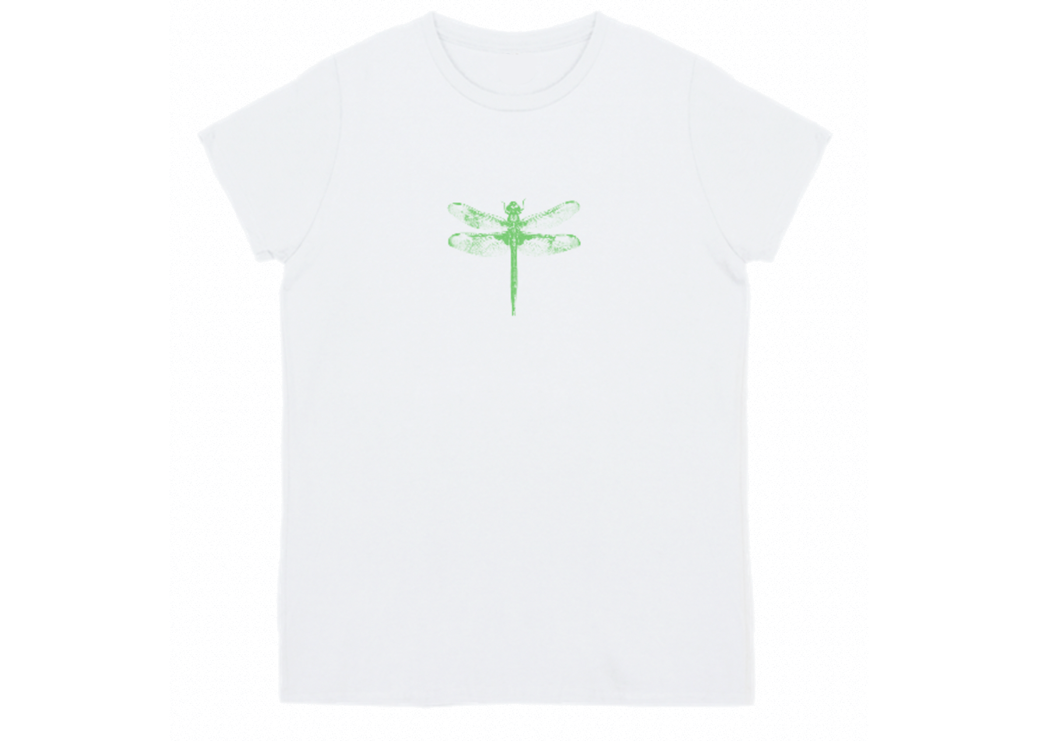 DRAGONFLY.png
