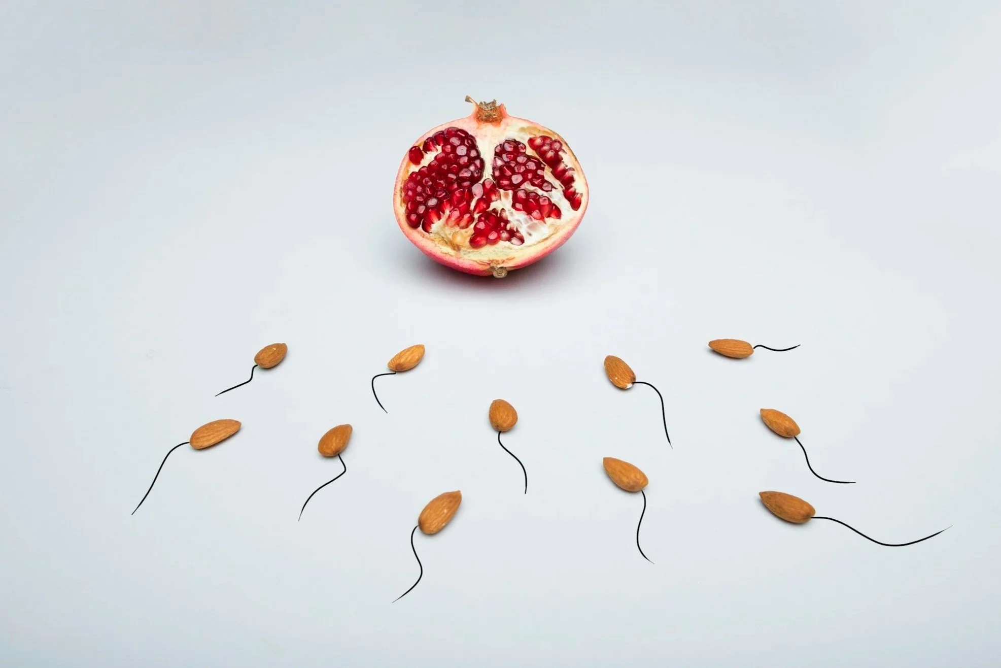 Why Am I Not Ovulating? 7 Root Causes Explained