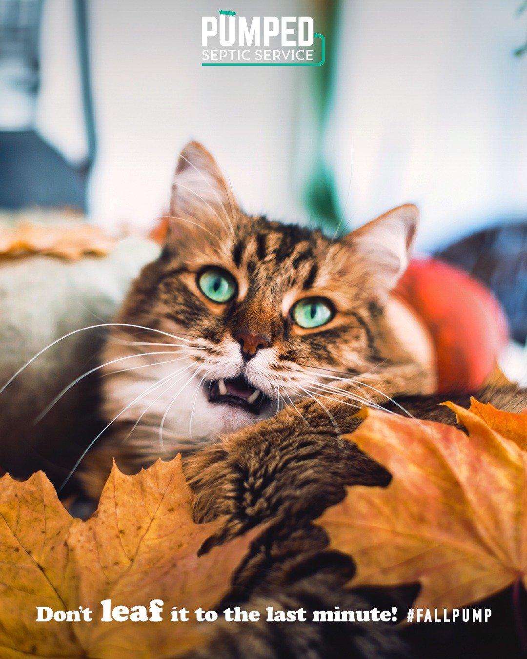 Book a septic pump from the comfort of your cozy couch! 📞 Call PUMPED Septic at (705) 380-0056 to get on our fall pump list TODAY. 

Don&rsquo;t LEAF it to the last minute! 🍁

NOTE: When booking, it's helpful to let us know the size of your tank in