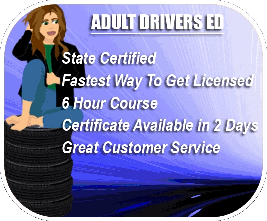 Adult 6 Hour Drivers Ed Coupons (Sold in Batches of 5)